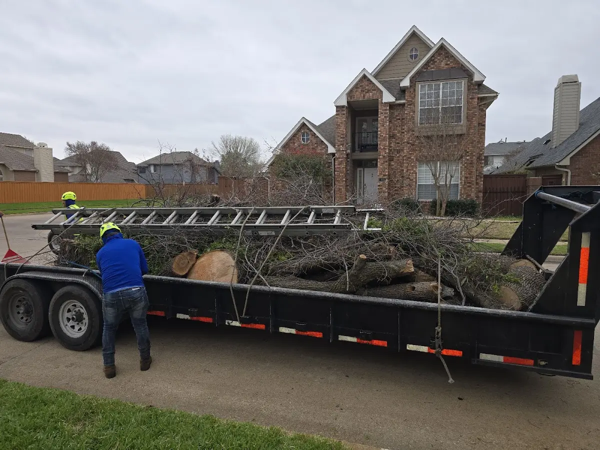 Expert Tree Fertilization with proper safety equipment in Lapel